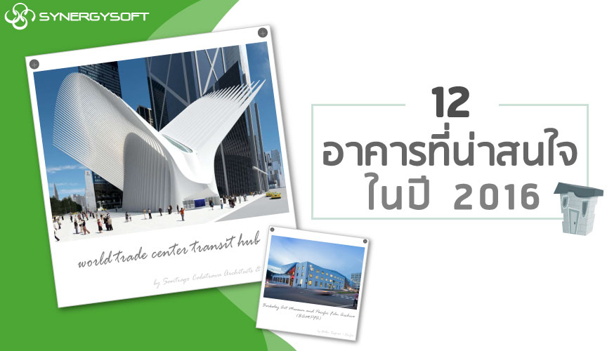 Synergysoft : 12 bliuding 2016