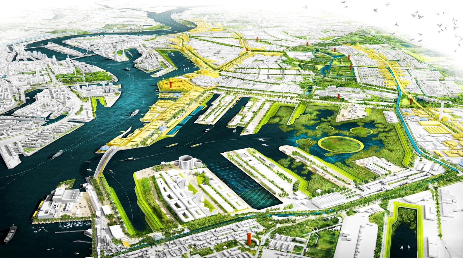 11.Synergysoft Healthy Cities